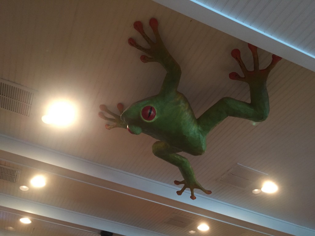 Yes, it's a frog.... on the ceiling....