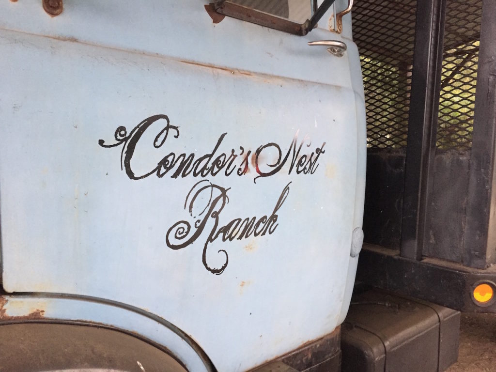 This old Dodge truck made a great backdrop and signage