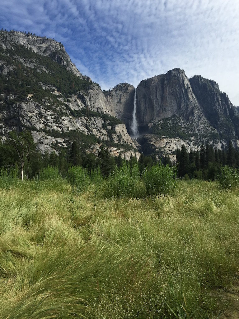 The grassy meadow at the Valley Floor.